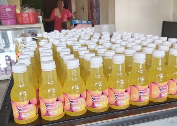 Bisnis Minuman dan Jus Lemon Cui Jadi Buruan Warga BMR