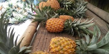 Jualan Nenas, Saryani Raup Keuntungan Lebih di Bulan Ramadhan