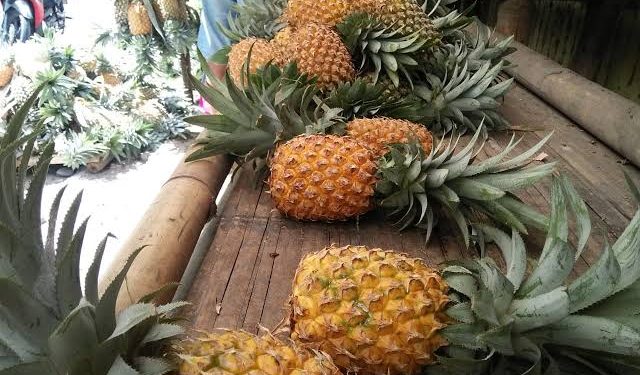 Jualan Nenas, Saryani Raup Keuntungan Lebih di Bulan Ramadhan