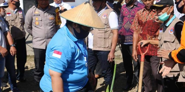 DPD KNPI Boltim Apresiasi Langkah Pemkab Lakukan Penanaman Pohon