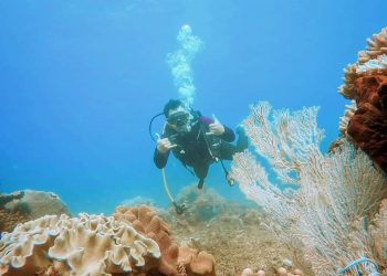 Pulau Bantong Togid Jadi Representatif Pengunjung Saat Ini