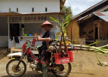 DPKP Bolsel Komitmen Tingkatkan Produksivitas Petani