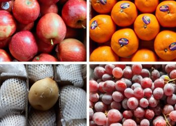 Bisnis Buah-buahan Milik Ibu Yayen Menjanjikan