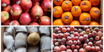 Bisnis Buah-buahan Milik Ibu Yayen Menjanjikan