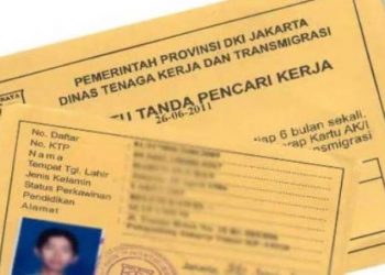 Tahun 2020 Baru 24 Orang Yang Mengurus Kartu Pencari Kerja