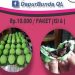 Bakpao Original dan Pandan Miranti Banyak Diminati Warga Kotamobagu