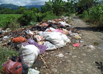 Reza : Sampah di Desa Tanggung Jawab Sangadi