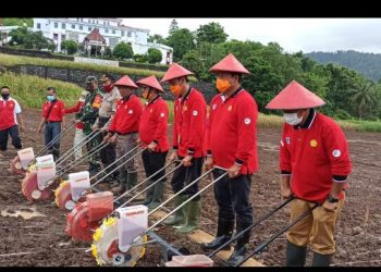 Bersama Wabup, Bupati Bolsel Ajak Warga Tanam Jagung Dilahan Kosong