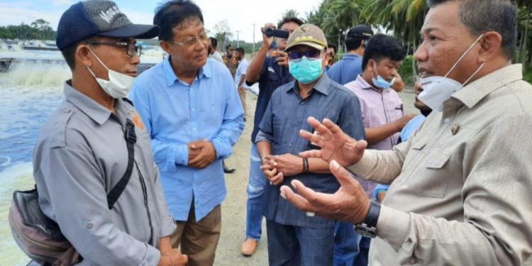 Bolmut Miliki Potensi Budidaya Udang Vaname