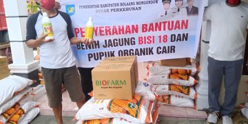 Dinas Perkebunan Salur Bantuan Bibit Jagung dan Pupuk di Wilayah Pantura
