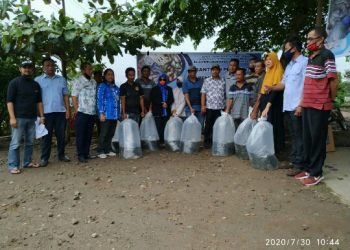 Tujuh Kelompok Budidaya Ikan di Boltim, Dapat Bantuan Ratusan Ribu Bibit Ikan Nila 