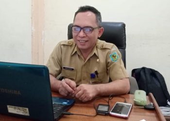 Dinas Koperasi dan UKM, Fasilitasi Pengelolaan Daun Nenas