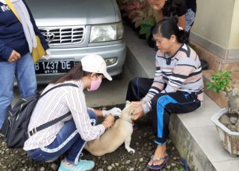 Sambut HRS, DPP Kotamobagu Vaksinasi Ratusan Ekor Anjing