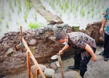 Nayodo Letakan Batu Pertama Pembangunan Irigasi Persawahan di Tumobui
