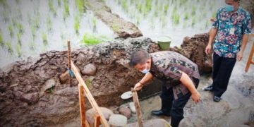 Nayodo Letakan Batu Pertama Pembangunan Irigasi Persawahan di Tumobui