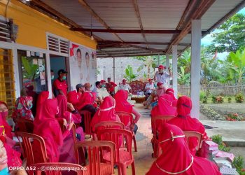 Iskandar Kamaru Sebut Tomini Mengingatkan Masa Kecil Saya