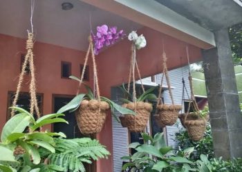 Wulandari ‘Sulap’ Sabut Kelapa Jadi Pot Bunga Cantik