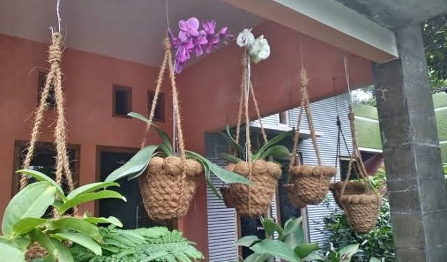 Wulandari ‘Sulap’ Sabut Kelapa Jadi Pot Bunga Cantik