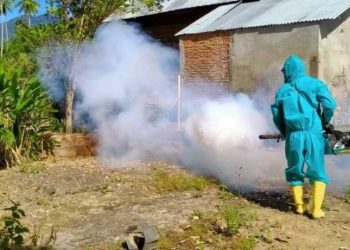 Tekan Penyebaran Kasus DBD, Sejumlah Desa di Kecamatan Helumo Difogging