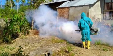 Tekan Penyebaran Kasus DBD, Sejumlah Desa di Kecamatan Helumo Difogging