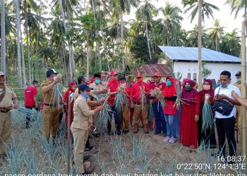 Tahun 2021 DPKP Bolsel Siap Kucurkan Bantuan Pertanian