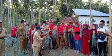 Tahun 2021 DPKP Bolsel Siap Kucurkan Bantuan Pertanian