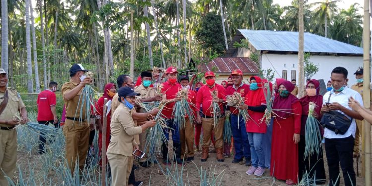 Tahun 2021 DPKP Bolsel Siap Kucurkan Bantuan Pertanian