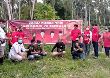 Peringati HUT Megawati Ke-74, PDI Perjuangan Bolsel Tanam Pohon di DAS Molibagu