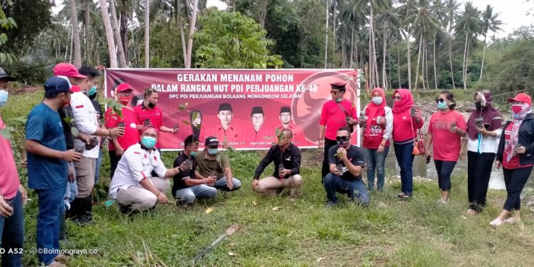 Peringati HUT Megawati Ke-74, PDI Perjuangan Bolsel Tanam Pohon di DAS Molibagu