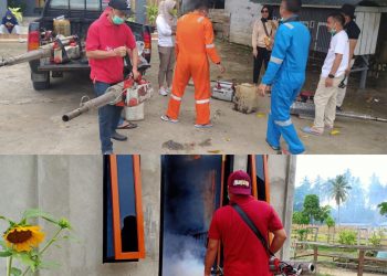Antisipasi DBD, Puskesmas Biontong dan Pemdes Lakukan Fogging