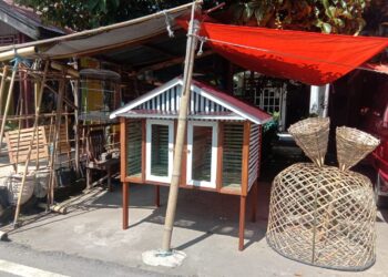 Salihan Pilih Kandang Ayam Tradisional Sebagai Usaha Rumahan