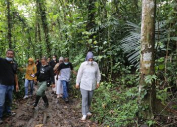 Tatong Tinjau Rencana Pembangunan Jembatan Monsi dan TPA Baru