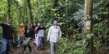 Tatong Tinjau Rencana Pembangunan Jembatan Monsi dan TPA Baru