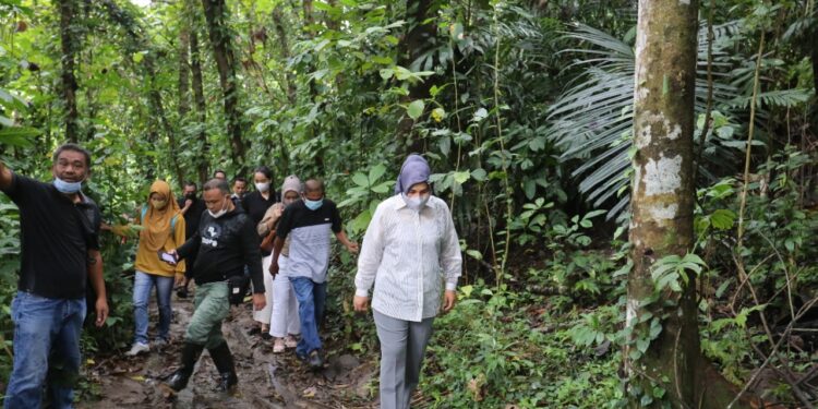 Tatong Tinjau Rencana Pembangunan Jembatan Monsi dan TPA Baru