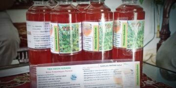 Bikin Sehat, Subhan Jadikan Daun Bidara Sebagai Produk Minuman Kesehatan