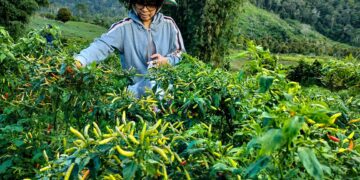 Yasti : Bolmong Miliki Potensi Hortikultura Menjanjikan