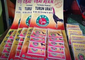 Butuh Obat Turun Urat Ayam, BTF Kotamobagu Solusinya