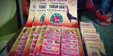 Butuh Obat Turun Urat Ayam, BTF Kotamobagu Solusinya