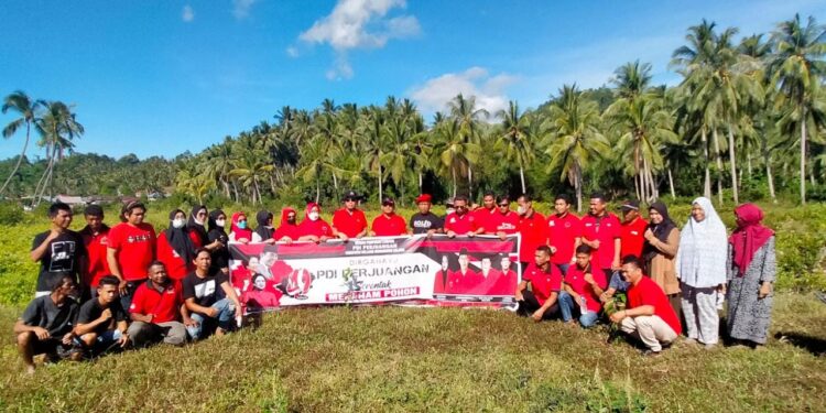Peringati HUT Megawati Ke-75, PDI Perjuangan Bolsel Tanam Pohon di Pesisir Pantai