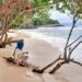 Wisata Pantai Pasir Putih ini Wajib Dikunjungi