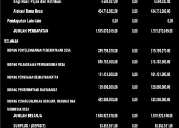 Wujud Transparansi, Pemdes Biontong Satu Publikasi APBDes 2022