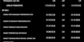 Wujud Transparansi, Pemdes Biontong Satu Publikasi APBDes 2022