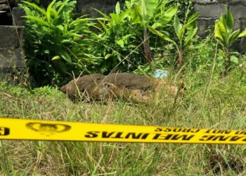 Gegana Brimob Polda Sulut Ledakkan Benda Diduga Mortir di Likupang Timur