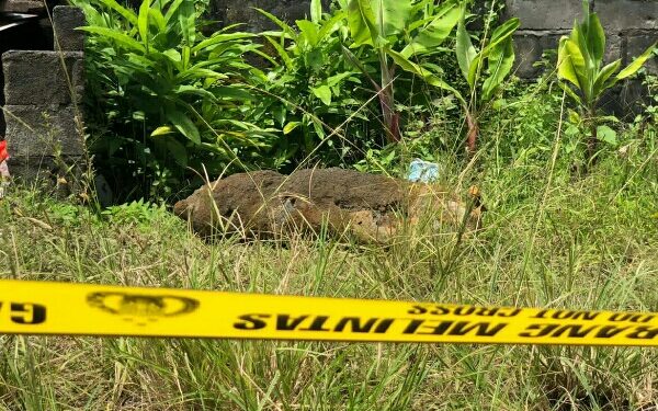 Gegana Brimob Polda Sulut Ledakkan Benda Diduga Mortir di Likupang Timur