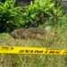 Gegana Brimob Polda Sulut Ledakkan Benda Diduga Mortir di Likupang Timur