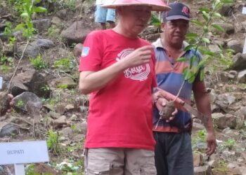 Panen Rica Perdana, Bupati Bolsel Ajak Warga Manfaatkan Lahan Tidur