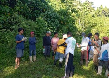 Gunakan Dana Desa, Pemdes Soguo Garap Lahan Tidur untuk Tingkatkan Produktivitas Pertanian