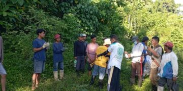 Gunakan Dana Desa, Pemdes Soguo Garap Lahan Tidur untuk Tingkatkan Produktivitas Pertanian