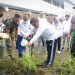 Peringati Hari Lingkungan Hidup, Pemkot Tanam Pohon dan Bersih-bersih Kota