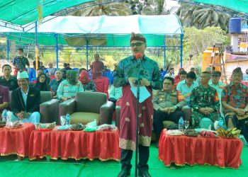 Hadiri Upacara Ngaben Parisada Massal, Limi Mokodompit: Ini Memperkaya Corak Kebudayaan